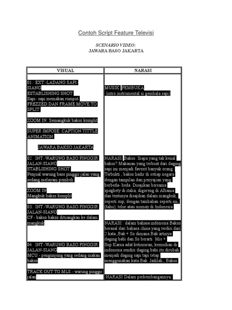 Contoh Script Feature Televisi | PDF