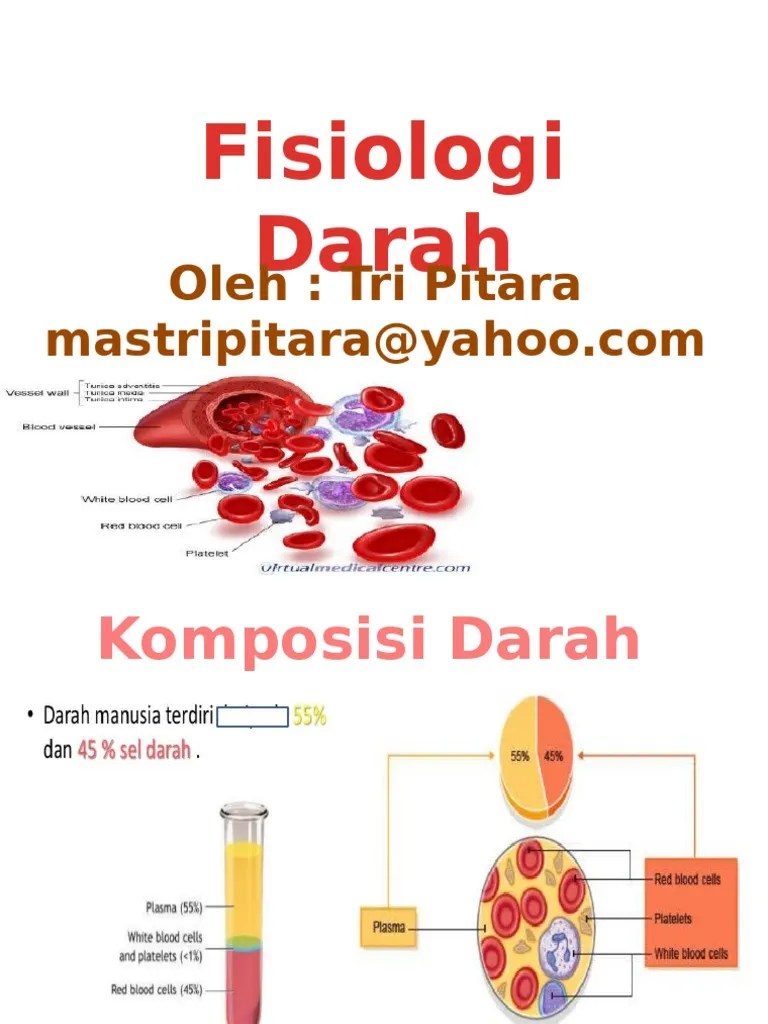 Fisiologi Darah | PDF