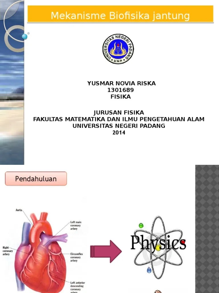 Mekanisme Biofisika Jantung | PDF