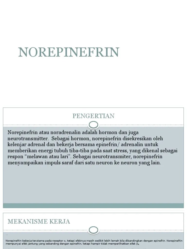 NOREPINEFRIN | PDF