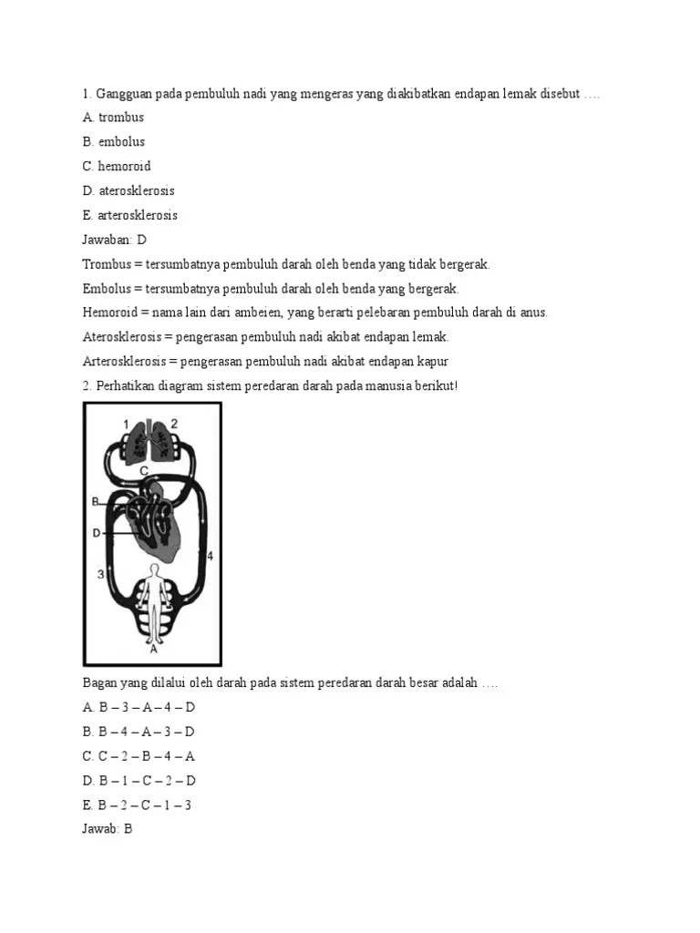 Soal Sistem Peredaran Darah | PDF