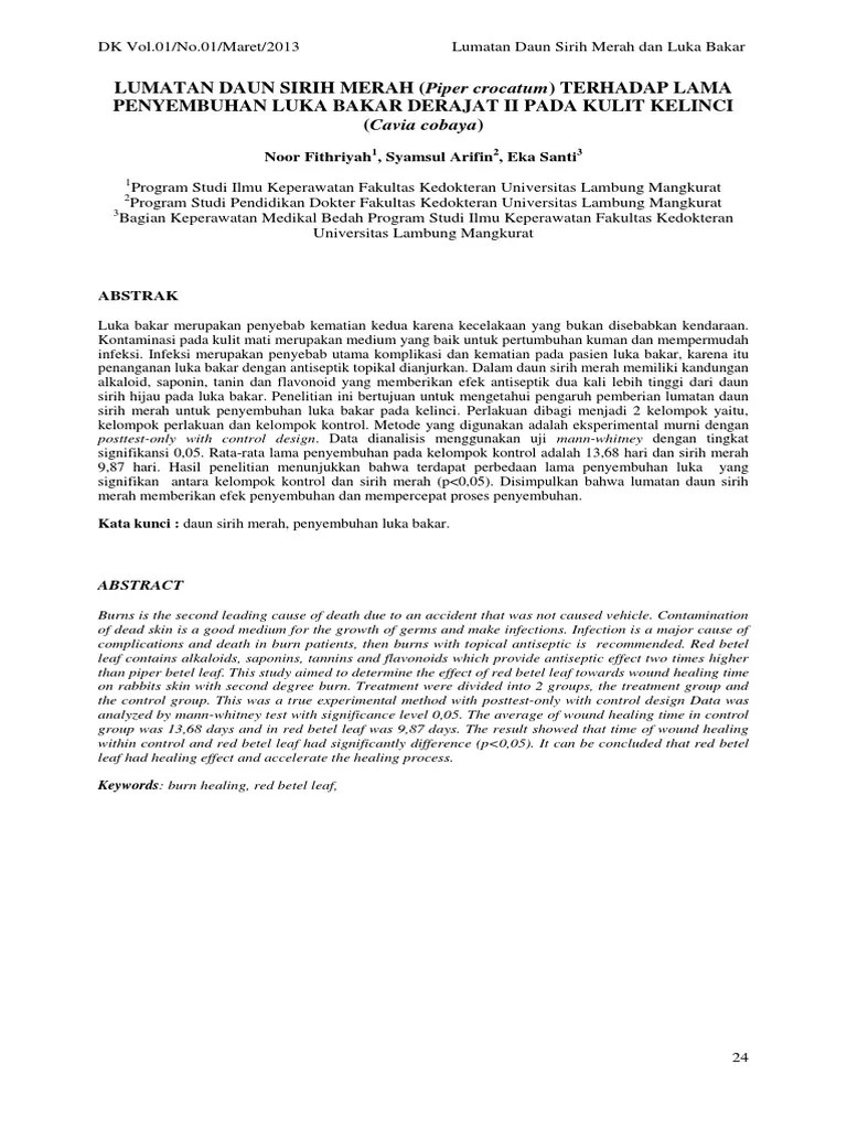 Lumatan Daun Sirih Merah Terhadap Lama Penyembuhan Luka Bakar Derajat II  Pada Kulit Kelinci | PDF