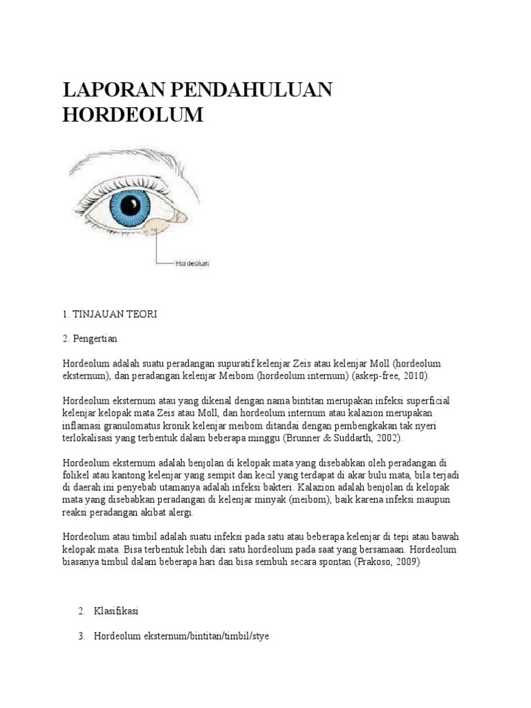 Laporan Pendahuluan Hordeolum | PDF