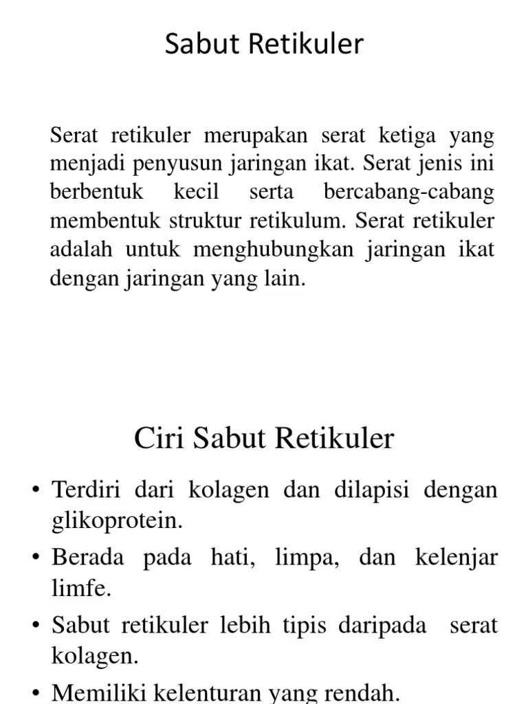 Sabut Retikuler | PDF