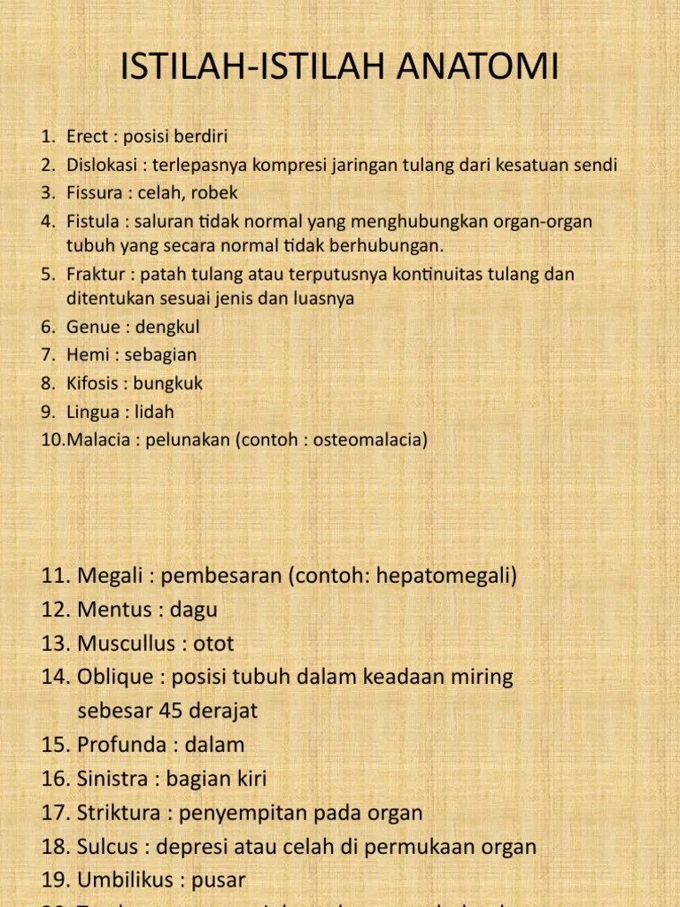 Istilah-Istilah Anatomi | PDF