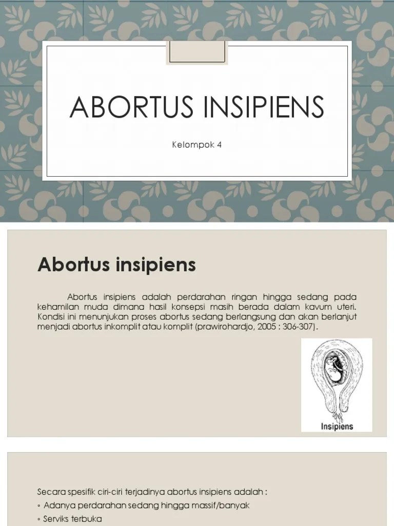 Abortus Insipiens | PDF