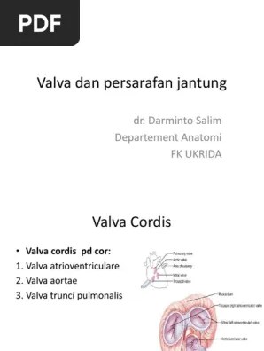 Valva Jantung Persarafan | PDF