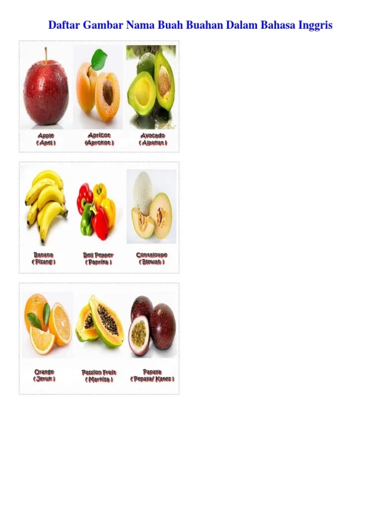 Daftar Gambar Nama Buah Buahan Dalam Bahasa Inggris | PDF