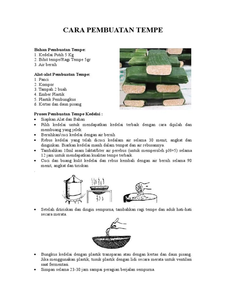 Cara Pembuatan Tempe | PDF