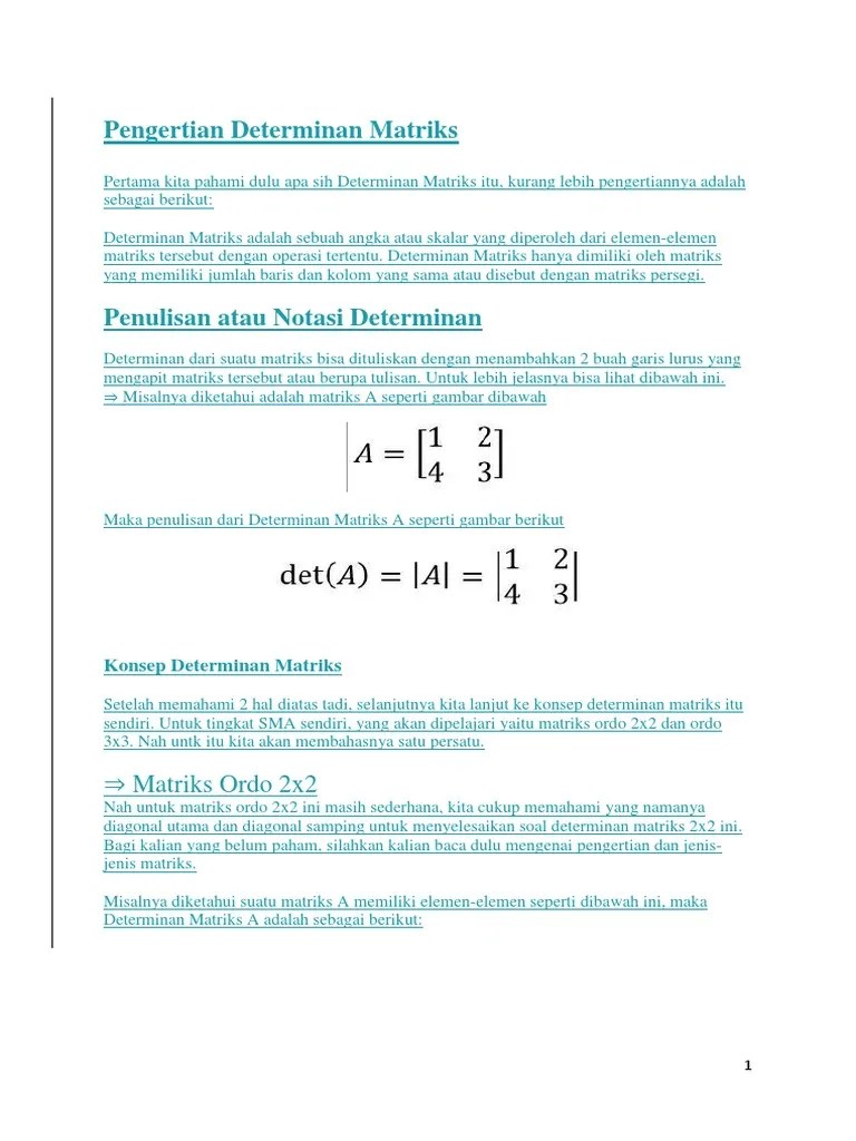 Determinan Matriks | PDF