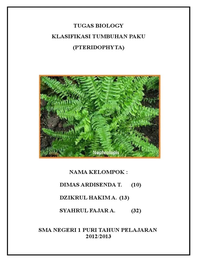 Tugas Biology Klasifikasi T.paku | PDF