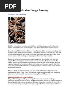 Bunga Pekak Atau Bunga Star Anise | PDF