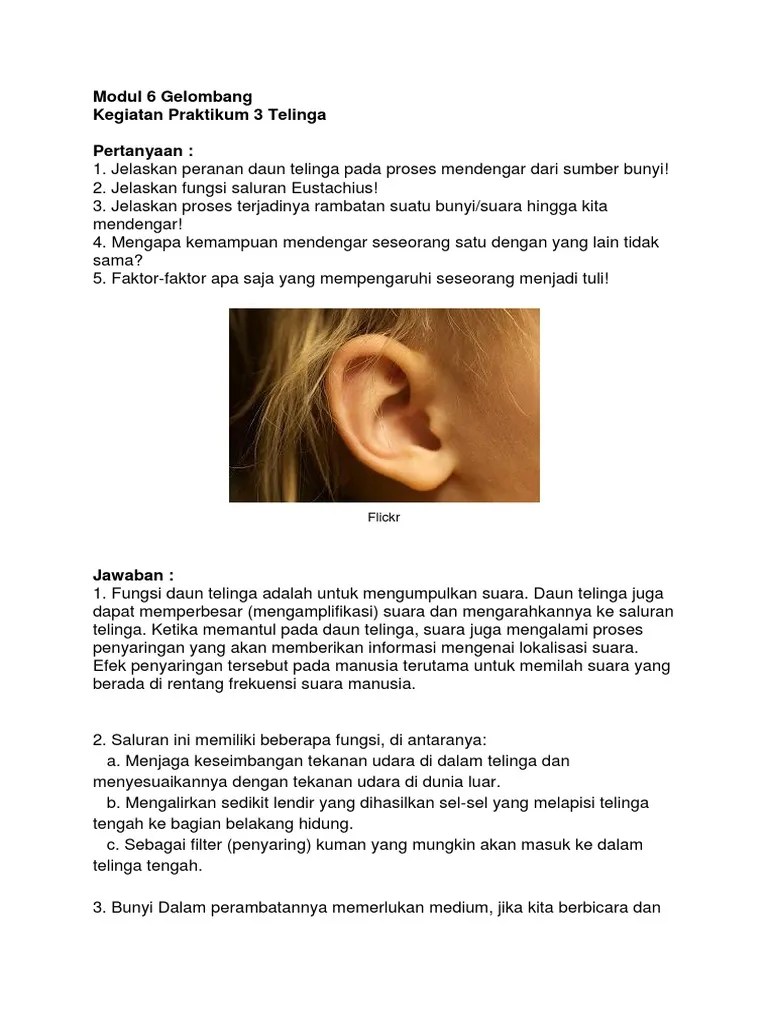 Pertanyaan Telinga Modul 6 | PDF