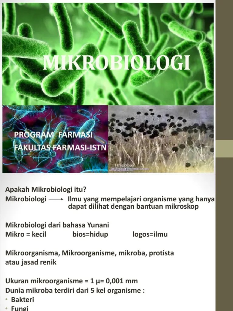 Sejarah Eukariotik Dan Prokariotik | PDF