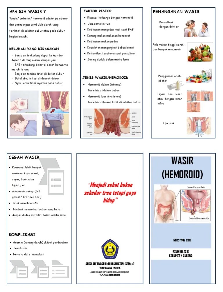 Leaflet Penyuluhan Hemoroid Revisi | PDF