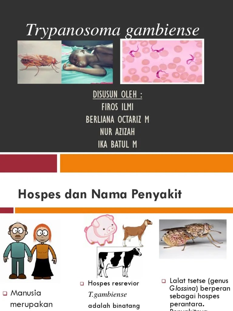 Trypanosoma Gambiense (KEL. 10) | PDF