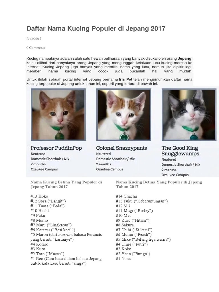 Daftar Nama Kucing Populer Di Jepang 2017 | PDF