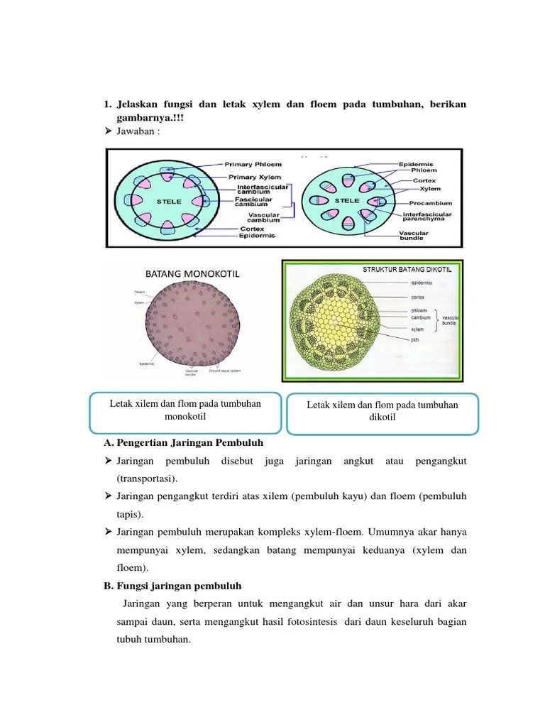 Modul II Pengangkutan Air | PDF