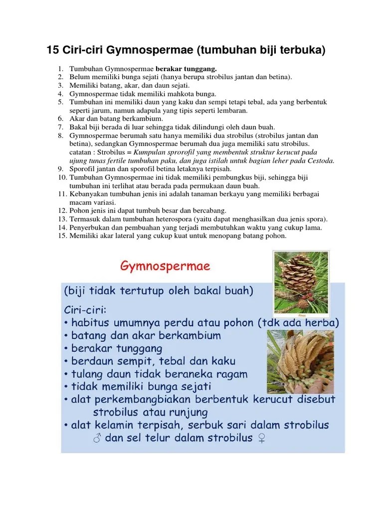 15 Ciri-Ciri Gymnospermae (Tumbuhan Biji Terbuka) | PDF