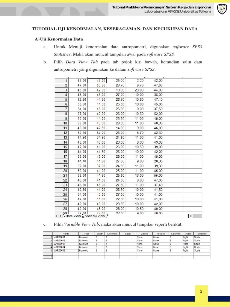 Tutorial Uji Kenormalan Keseragaman Dan Kecukupan Data | PDF