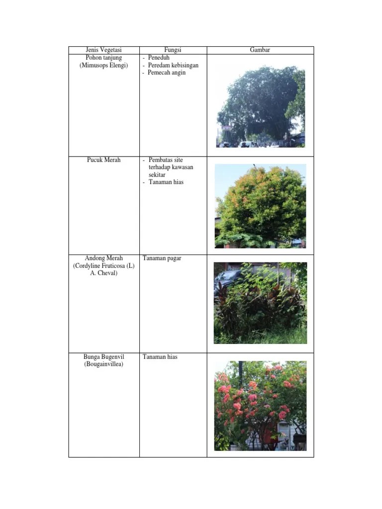 Jenis Vegetasi | PDF