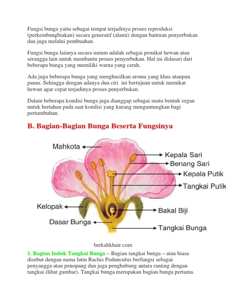 Materi Bunga | PDF