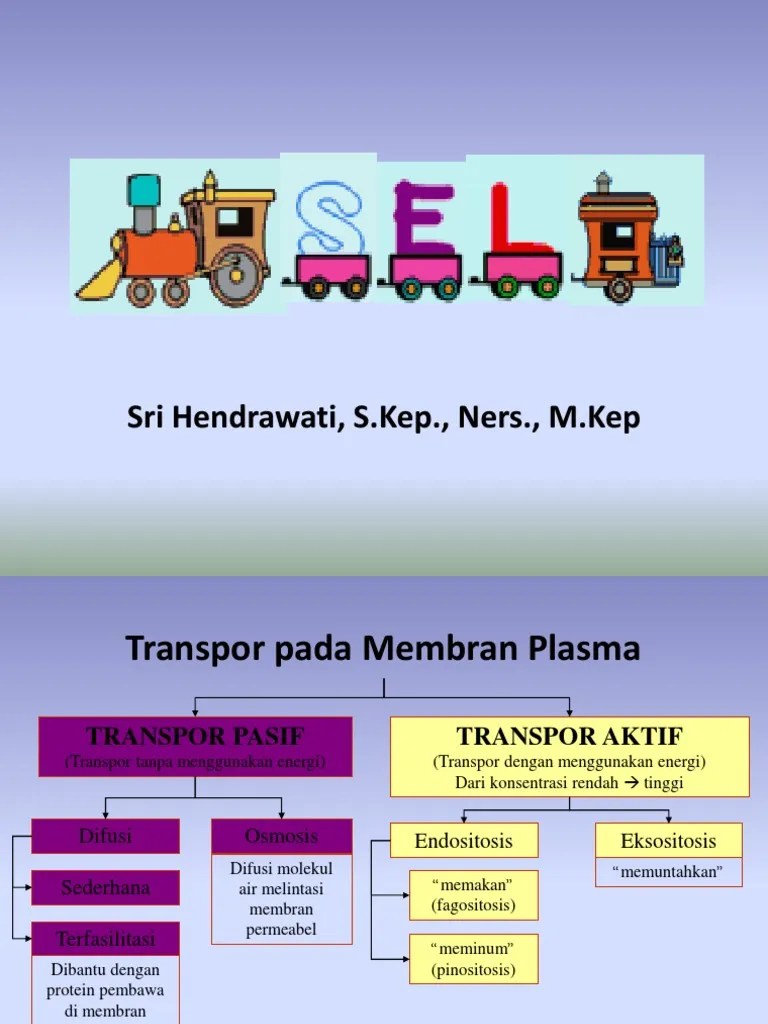 Transportasi Sel | PDF
