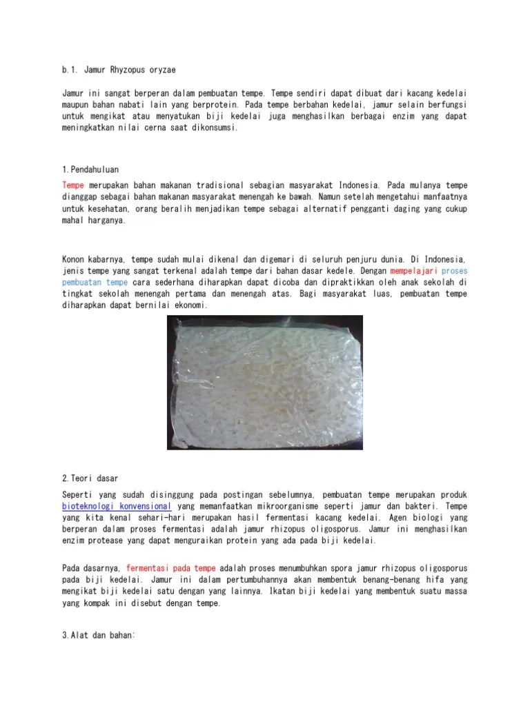 Makalah Pembuatan Tempe | PDF