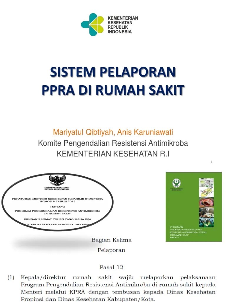 6.laporan Ppra Rs - Ws Bali 131217 | PDF