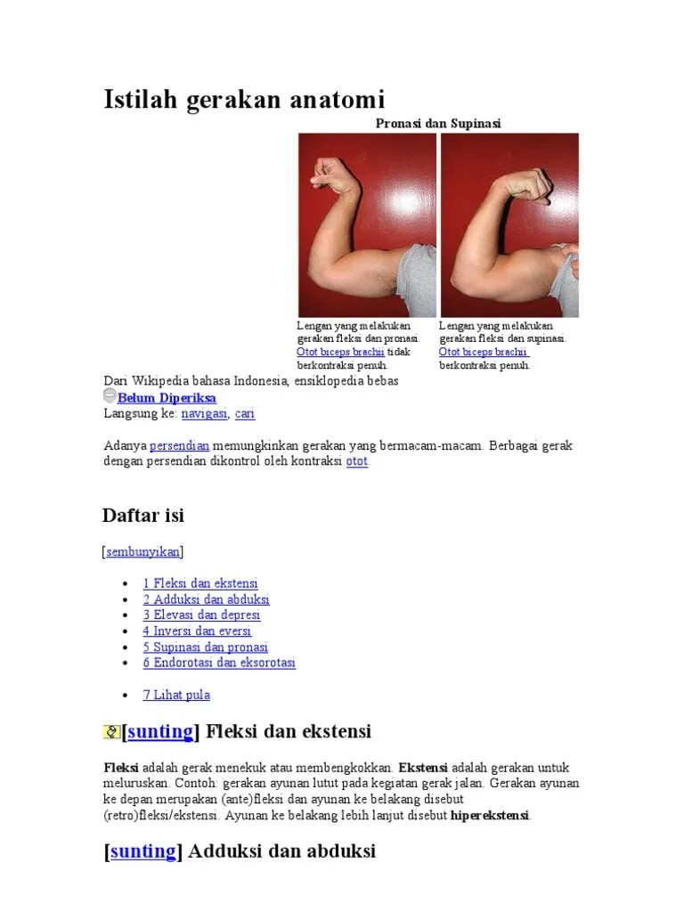 Istilah Gerakan Anatomi | PDF