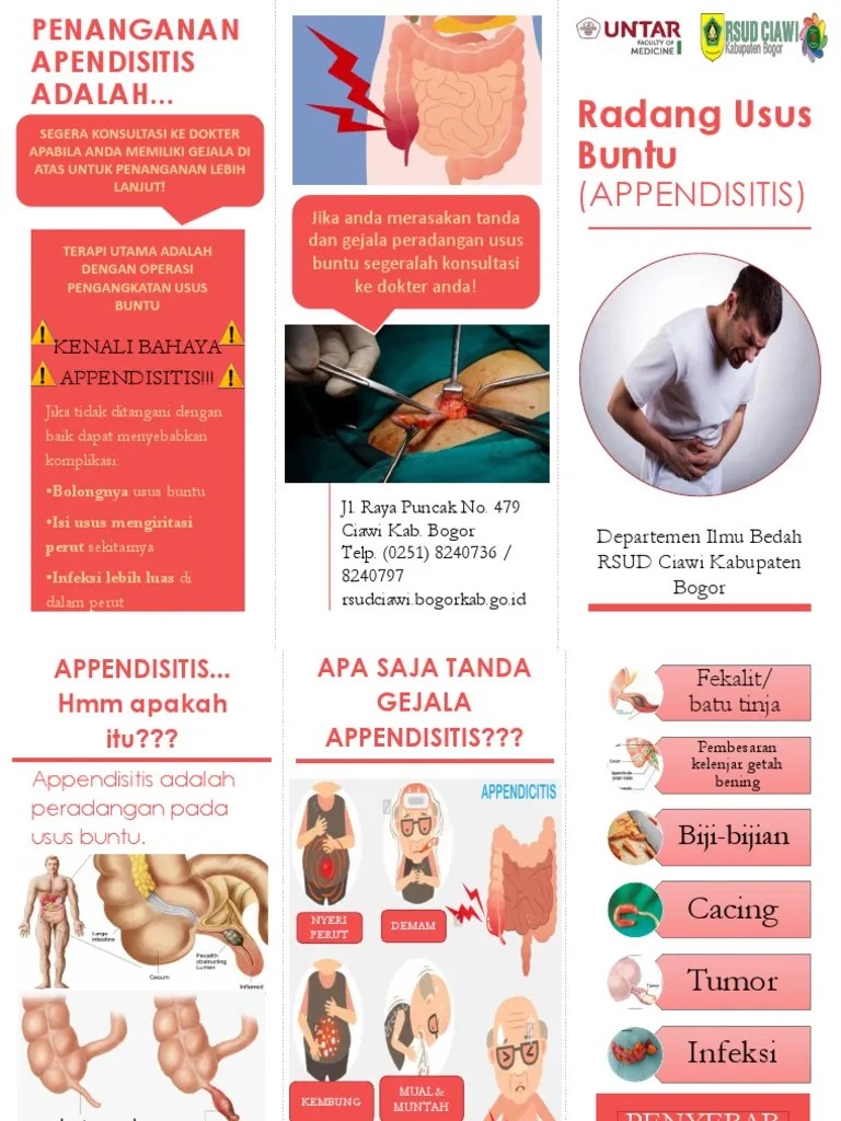 PPT Penyuluhan Radang Usus Buntu Appendisitis 2 | PDF