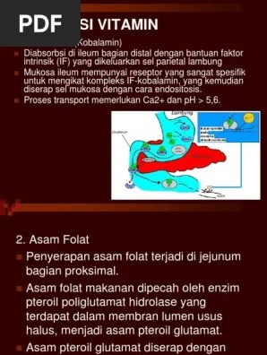Absorbsi Vitamin (ANGGA) | PDF