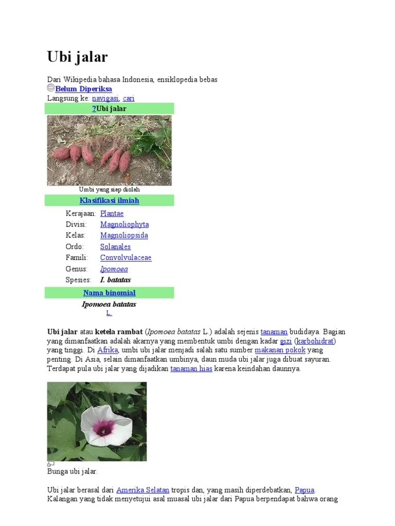 Ubi Jalar | PDF