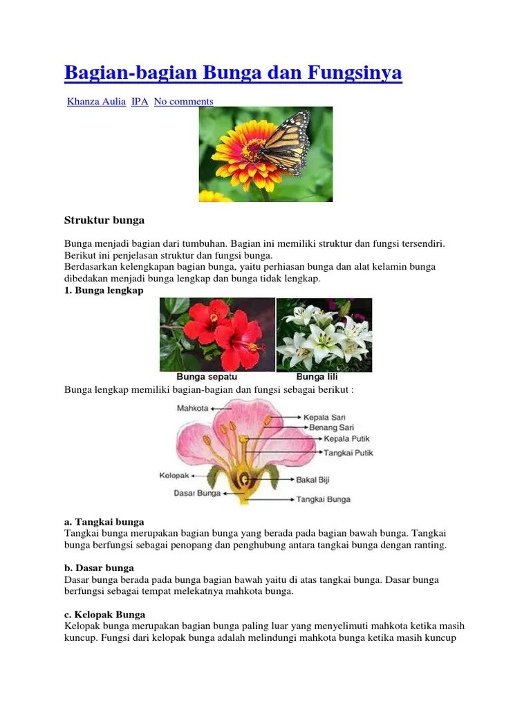 Bagian Bunga | PDF