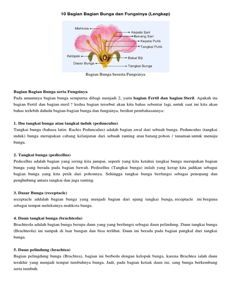 Gambar Bunga Sempurna Dan Fungsinya - Koleksi Foto Bunga