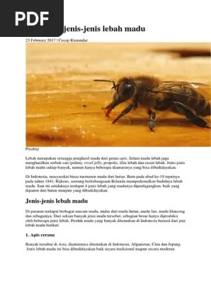 Mengenal Jenis-Jenis Lebah Madu | PDF