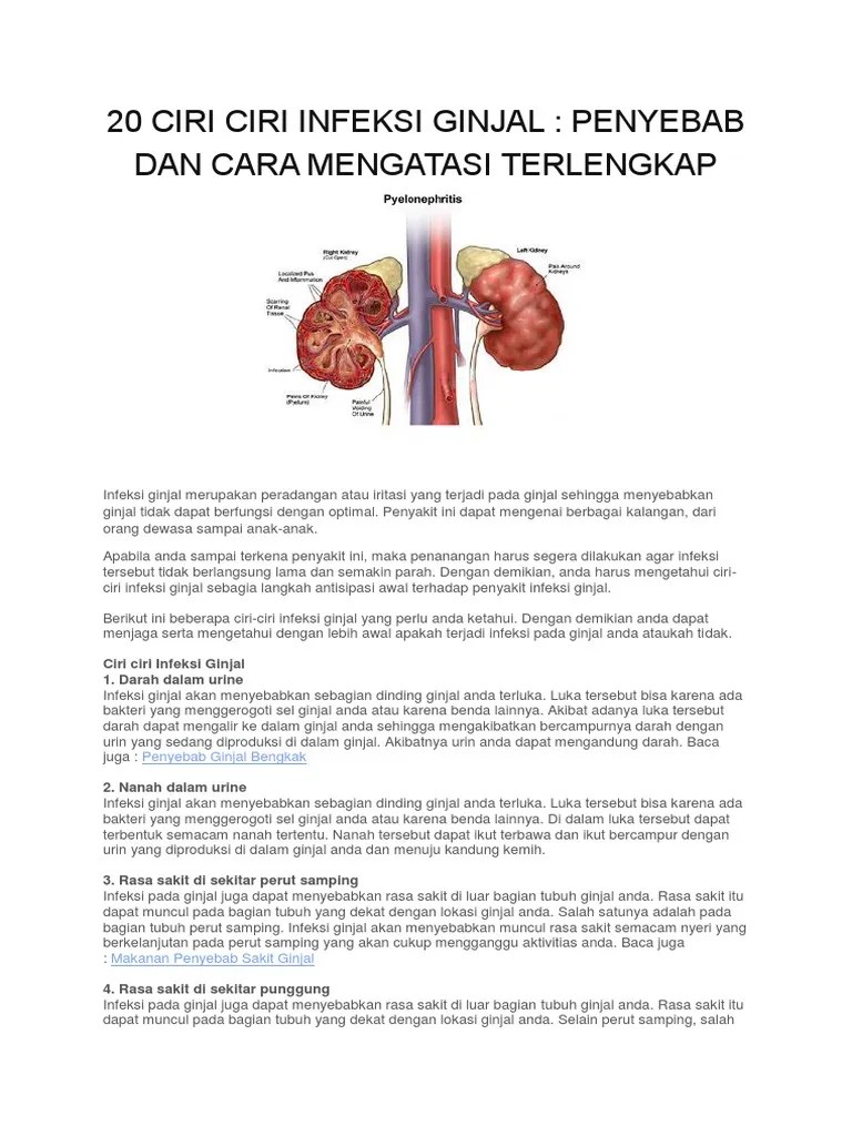 20 Ciri Ciri Infeksi Ginjal Penyebab Dan Cara Mengatasi Terlengkap | PDF