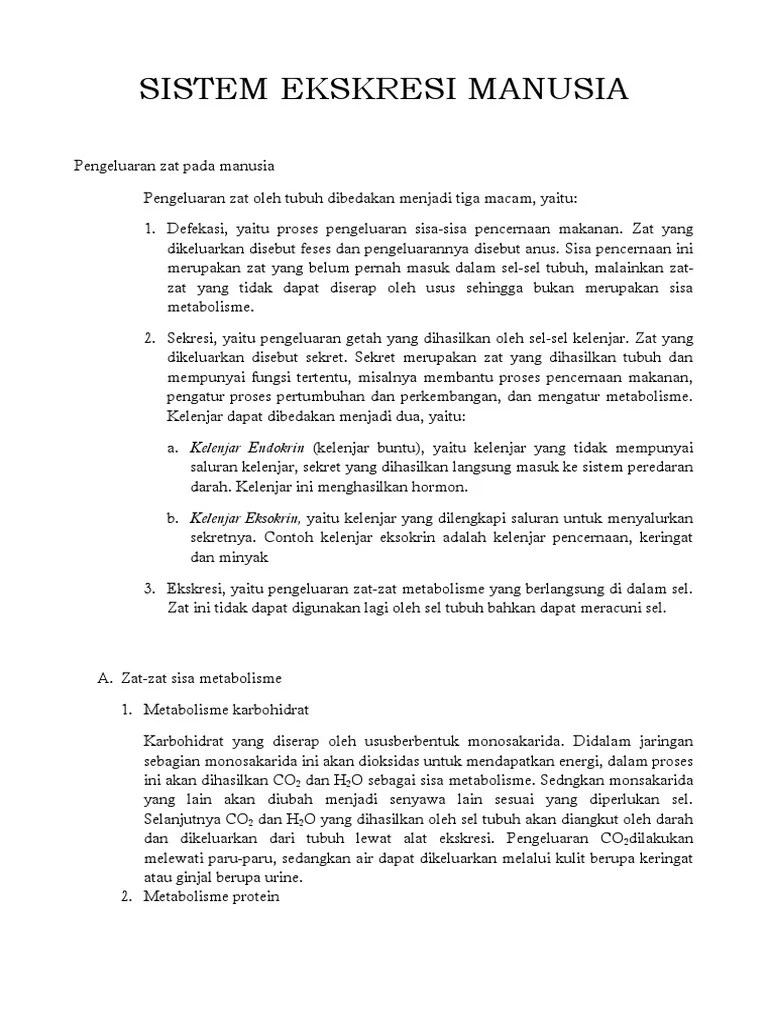 Sistem Ekskresi Pada Manusia | PDF