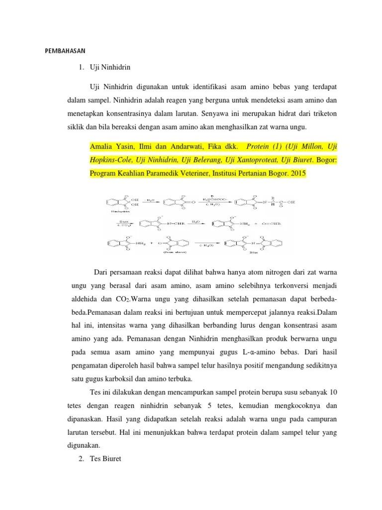 Jurnal Uji Ninhidrin Pdf – Kami
