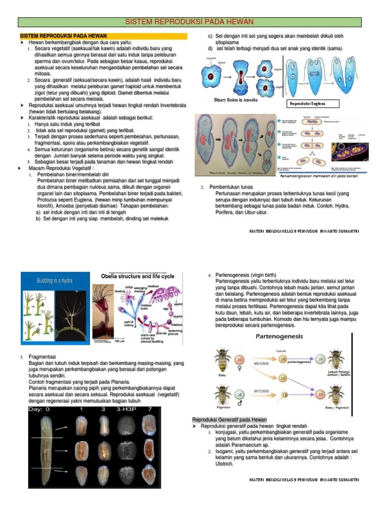 Reproduksi Hewan | PDF