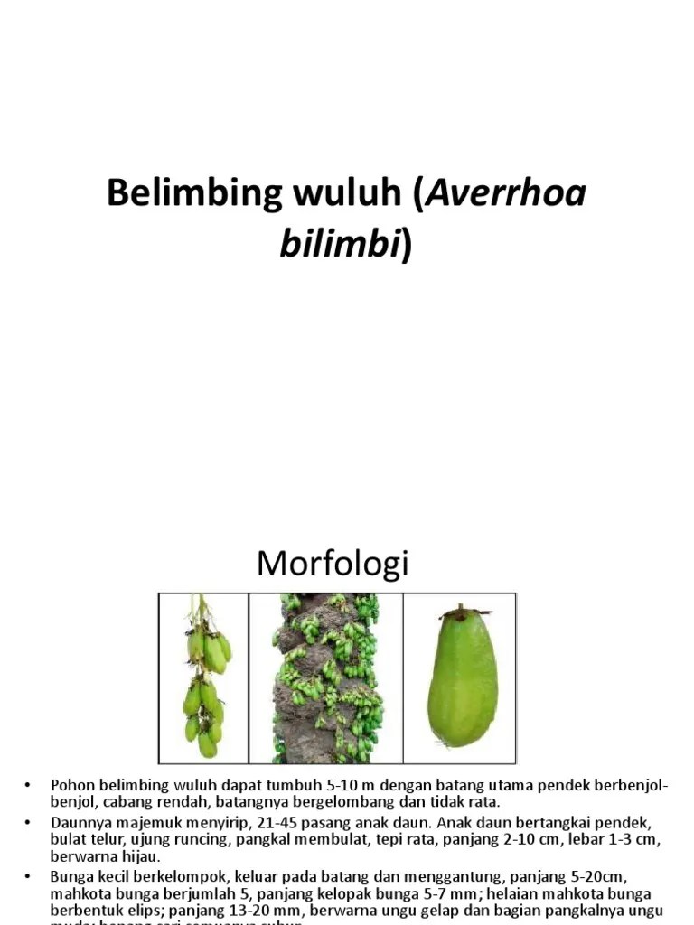Herbal | PDF