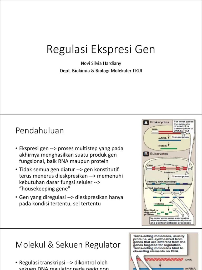 Regulasi Ekspresi Gen | PDF