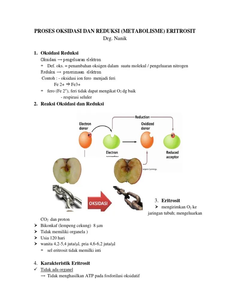 Proses Oksidasi Dan Reduksi | PDF