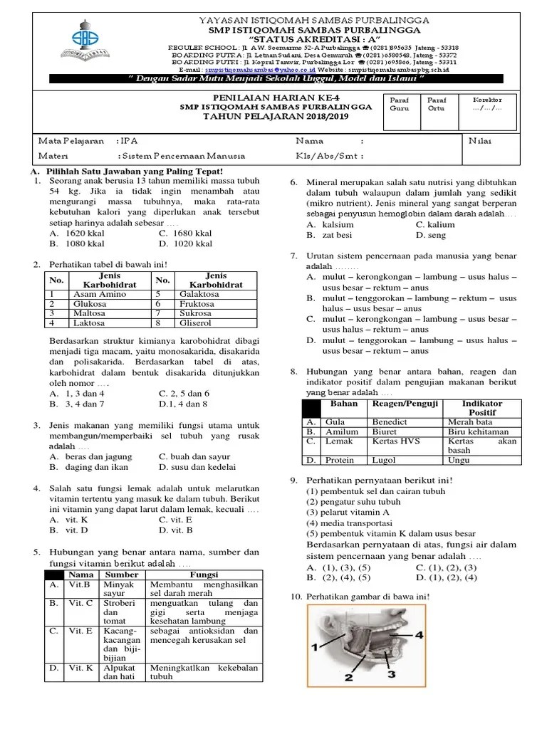Soal Ulangan Sistem Pencernaan Smp Kelas 8