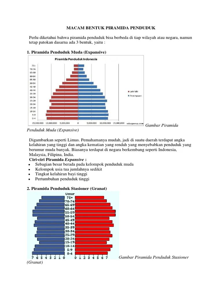 Macam Bentuk Piramida Penduduk | PDF
