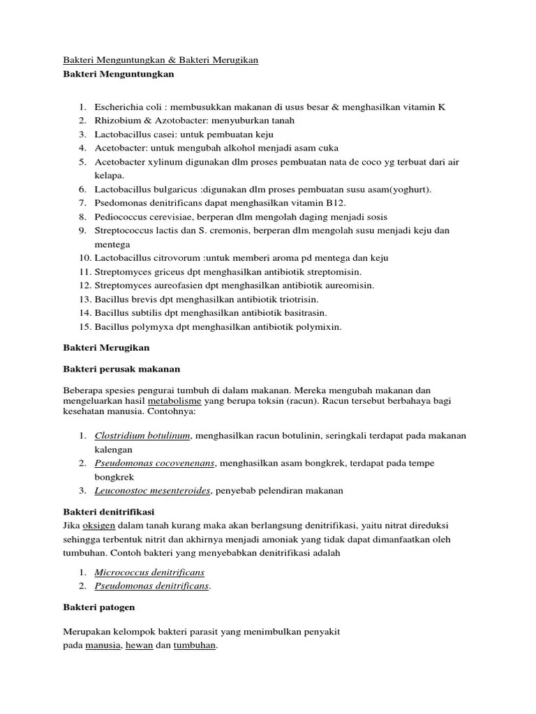Bakteri Menguntungkan | PDF