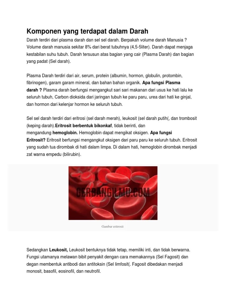 Protein Dalam Plasma Darah Yang Berfungsi Sebagai Zat Antibodi Disebut -  Sebutkan Mendetail