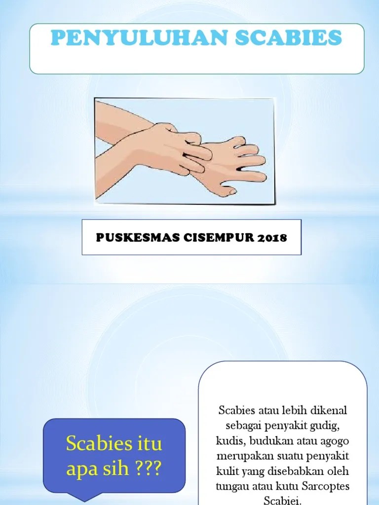 Materi Penyuluhan Scabies | PDF