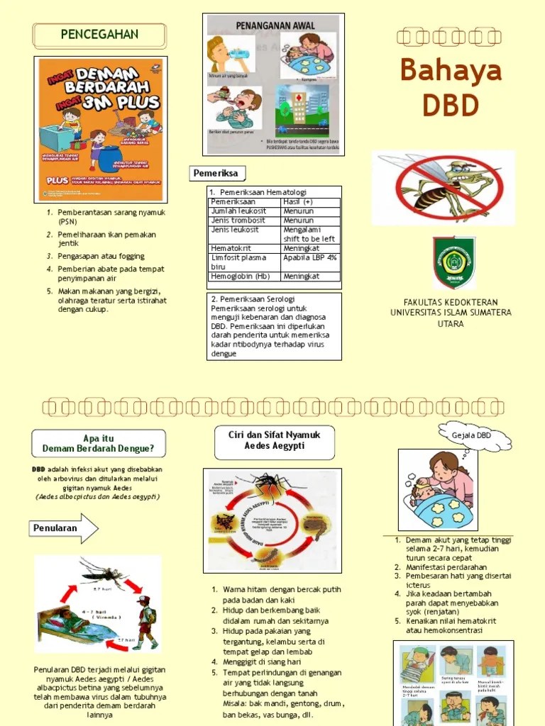 Dengue Hemoragic Fever | PDF