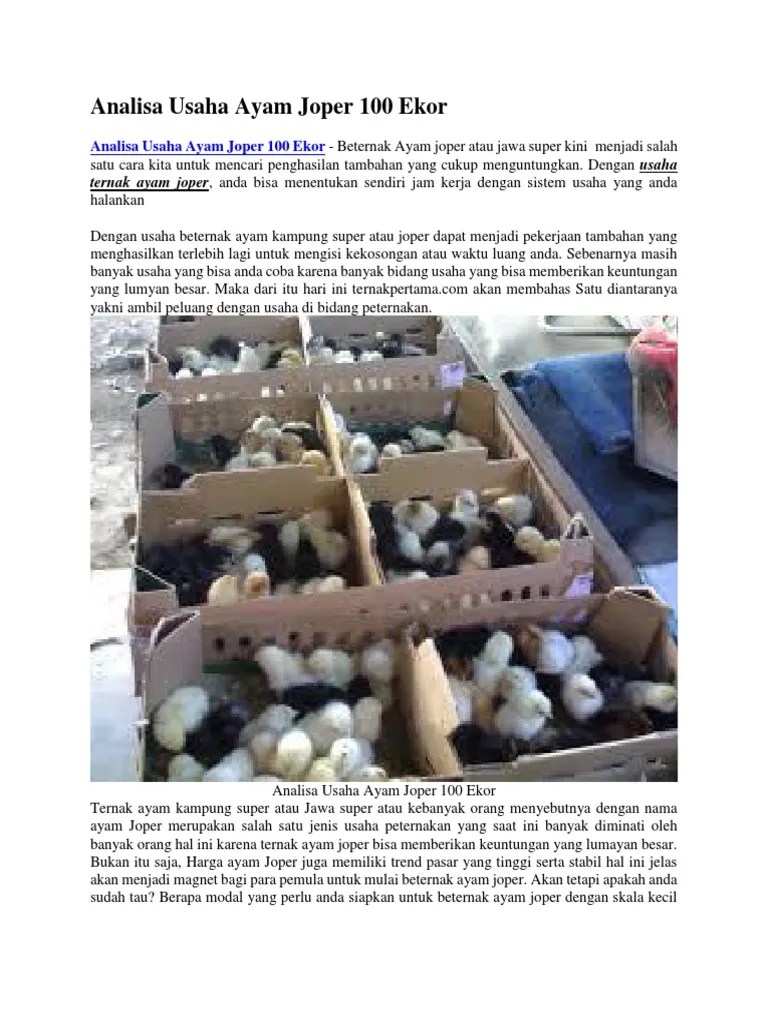 Analisa Usaha Ayam Joper 100 Ekor | PDF